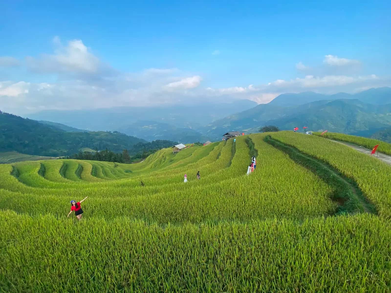 mùa lúa chín ruộng bậc thang hà giang 2026: đi thế nào